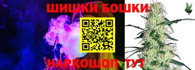 МДПВ Заводоуковск