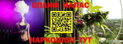 стаф Жуковский